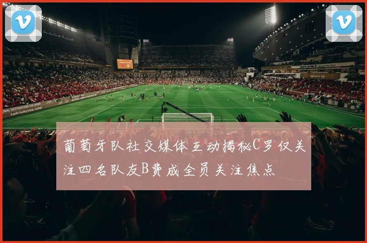 葡萄牙队社交媒体互动揭秘C罗仅关注四名队友B费成全员关注焦点