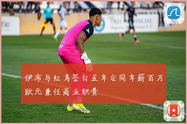 伊布与红鸟签订五年合同年薪百万欧元兼任商业职责